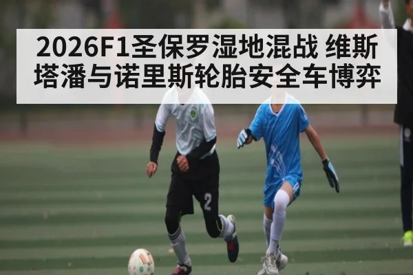 2026F1圣保罗湿地混战 维斯塔潘与诺里斯轮胎安全车博弈